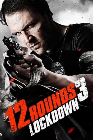 12 Rounds 3 Lockdown 2015 Dual Audio | Hindi Full Movie BluRay 300MB