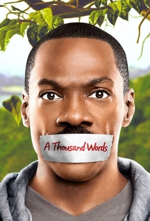 A Thousand Words (2012) Dual Audio | Hindi Full Movie BluRay 300MB