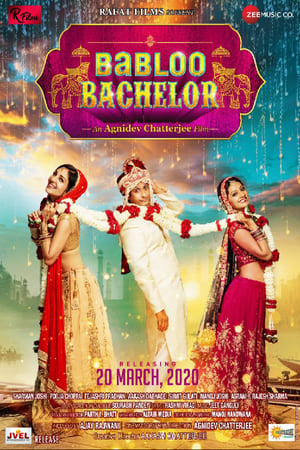 Babloo Bachelor (2021) Movie HDRip | Hindi Full Movie – 480p