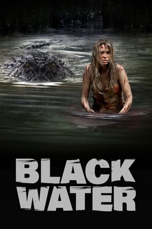 Black Water (2007) Dual Audio | Hindi Full Movie BluRay [1GB]