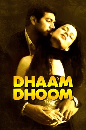 Dhaam Dhoom 2008 Dual Audio [ - Tamil] 430MB UnCut | Hindi Full Movie HDRip Download