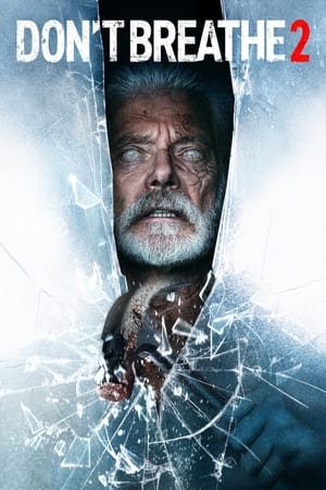 Don’t Breathe 2 (2021) Dual Audio | Hindi Full Movie HDRip [900MB]