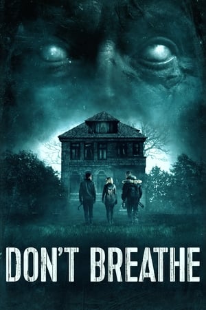 Don't Breathe (2016) Dual Audio | Hindi Full Movie BluRay [850MB]