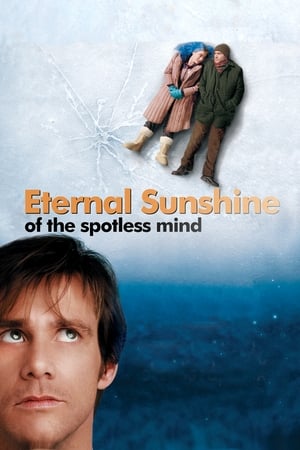 Eternal Sunshine Of The Spotless Mind 2004 Dual Audio | Hindi Full Movie BluRay [780MB]