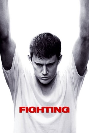 Fighting (2009) Dual Audio | Hindi Full Movie BluRay 450MB