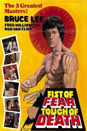 Fist of Fear Touch of Death 1980 Dual Audio | Hindi Full Movie DVDRip [1GB]
