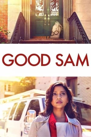 Good Sam 2019 Dual Audio | Hindi Full Movie Web-DL [820MB]