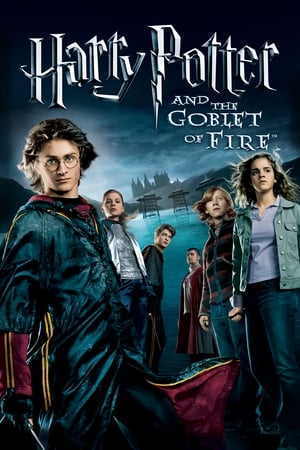 Harry Potter and the Goblet of Fire 2005 Dual Audio WEB-DL | Hindi Full Movie