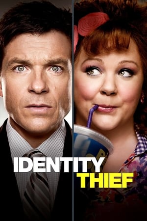 Identity Thief (2013) Dual Audio | Hindi Full Movie BluRay [1GB]