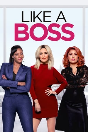 Like a Boss (2020) Dual Audio | Hindi Full Movie Web-DL 300MB
