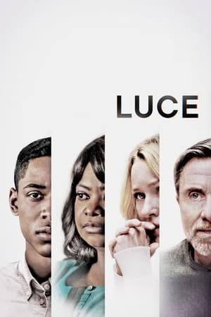 Luce 2019 Dual Audio | Hindi Full Movie Web-DL 340MB