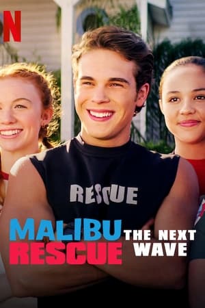 Malibu Rescue: The Next Wave (2020) Dual Audio | Hindi Full Movie Web-DL [640MB]
