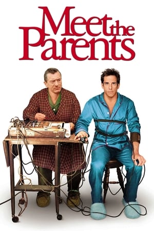 Meet the Parents 2000 Dual Audio | Hindi Full Movie BluRay 350MB