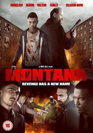 Montana (2014) Dual Audio | Hindi Full Movie BluRay [900MB]