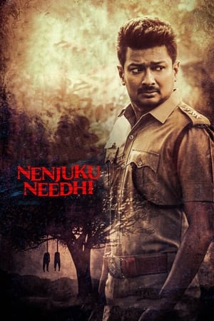 Nenjuku Needhi 2022 (HQ-Dub) HDRip | Hindi Full Movie – 480p