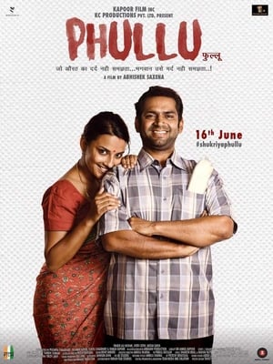Phullu 2017 300MB Full Movie | Hindi Full Movie DTHRip Download