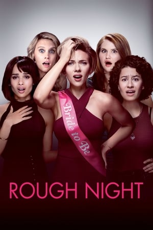 Rough Night (2017) Dual Audio | Hindi Full Movie BluRay [800MB]