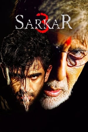 Sarkar 3 2017 350MB Full Movie | Hindi Full Movie DVDRip Download