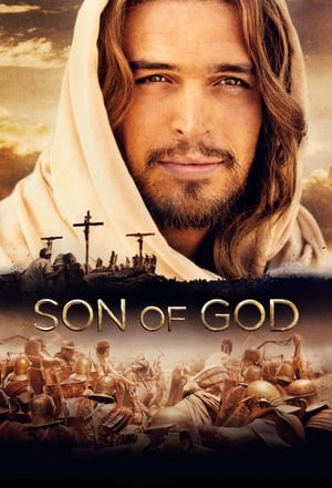 Son of God 2014 Dual Audio | Hindi Full Movie BluRay 450MB