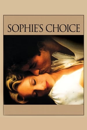 Sophie's Choice (1982) Dual Audio | Hindi Full Movie BluRay 460MB