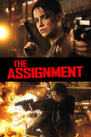 The Assignment (2016) Dual Audio | Hindi Full Movie BluRay 300MB