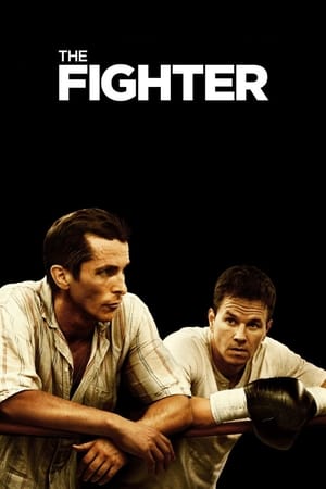 The Fighter (2010) Dual Audio | Hindi Full Movie BluRay 360MB