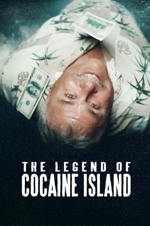 The Legend of Cocaine Island (2019) Dubbed | Hindi Full Movie Web-DL [860MB]