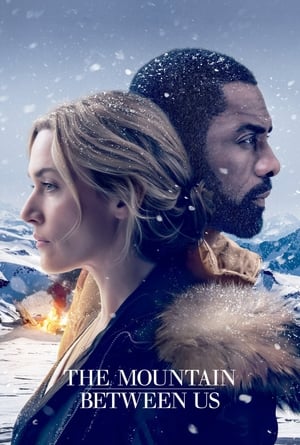 The Mountain Between Us 2017 Dual Audio | Hindi Full Movie Bluray 350MB