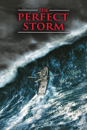 The Perfect Storm (2000) Dual Audio | Hindi Full Movie HDRip [1.2GB]