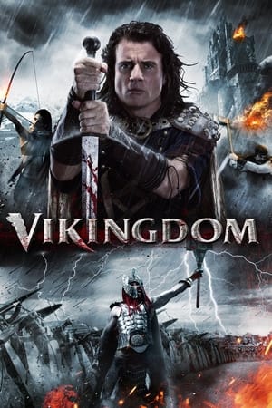 Vikingdom 2013 Dual Audio | Hindi Full Movie BluRay 380MB