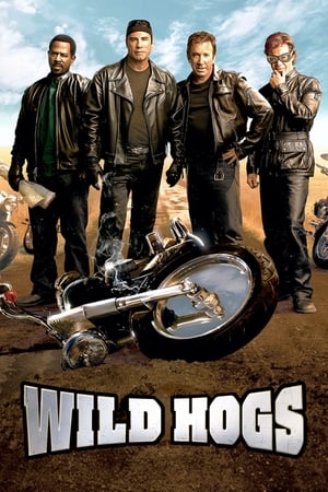 Wild Hogs (2007) Dual Audio | Hindi Full Movie BluRay [750MB]